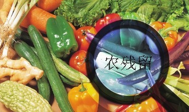 黑龍江通報4批次食用農產品農藥殘留超標，批發環節成監管重點